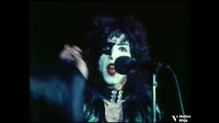 C'mon And Love Me Lyrics English Translation