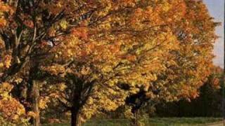 Ákos - Őszi tájkép