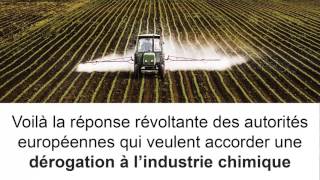 La vidéo ahurissante dont tout le monde parle