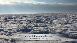 Cape Cod Beach FROZEN