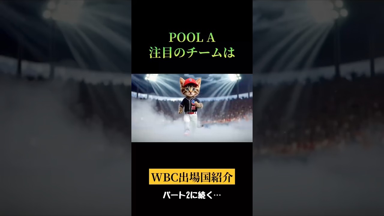 WBC POOL A チーム紹介…パート1 #wbc #侍ジャパン #癒し #猫動画 #猫のいる暮らし