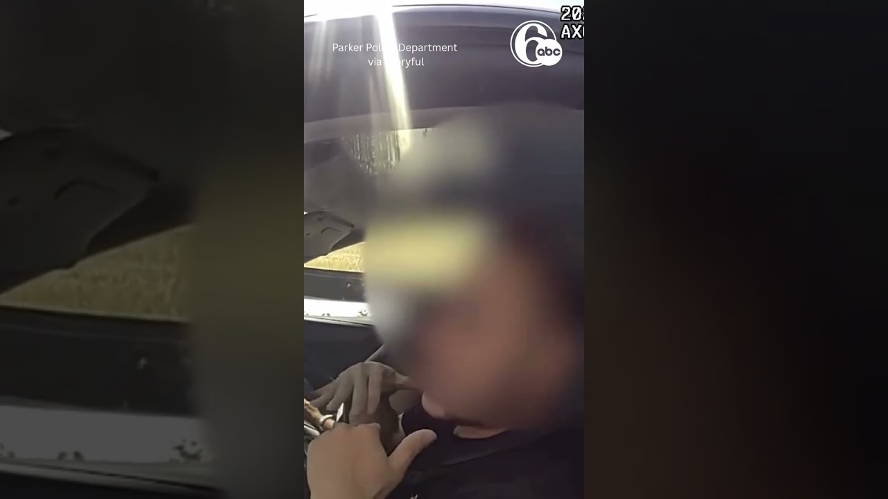 'I Wasn't Driving': Speeding Motorist Blames Tesla Autopilot for Ticket - YouTube