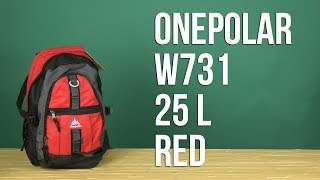 Onepolar W731 / black - відео 3