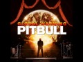 Pitbull ft Sensato - Global Warming (NEW SONG ...