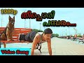 Theepori Pambaram CID Moosa Movie Video Song Full HD 1080p