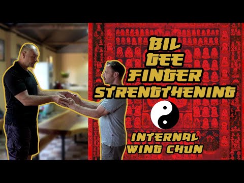 Internal Wing Chun | Bil gee finger strengthening