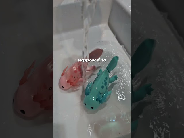 Vídeo relacionado con Pets Alive-Water Activated-Series 1-Swimming Mermaid(Sea Shell) + (Sea Wave) 2pk