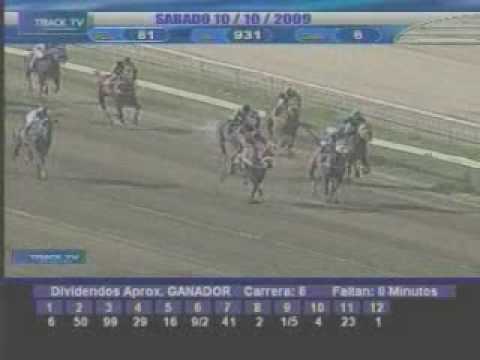 Resumen domingo 10 de Octubre La Rinconada