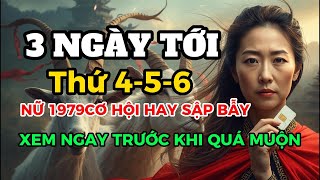 Exactly 3 Days Ahead (Wednesday, Thursday, Friday): Choose a Sim Card Suitable for 1979 KY MUI Fe...