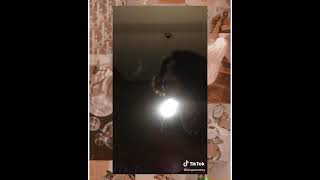 Download lagu Story Wa/Ig Keren Aesthetic Lagu Jauh (Cokelat) || Dia Spesial Tapi Sulit Digapai mp3 Download lagu Story Wa/Ig Keren Aesthetic Lagu Jauh (Cokelat) || Dia Spesial Tapi Sulit Digapai mp3