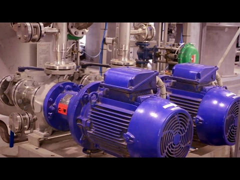 Shell Lubricants   You’d Never Guess  Power