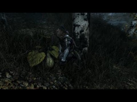 WHHHHHHHHHHHHHYYYYYYYYYYYYYYYYYYYYYYYYYYYYYYYY