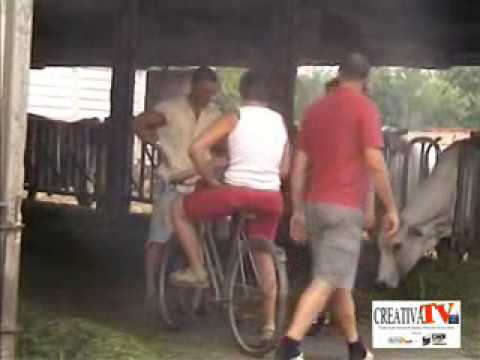 Alla Cascina Pratolina