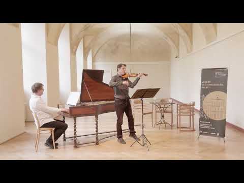 Duo Jiří Sycha - Filip Dvořák...koncert během pandemie.  2  část.