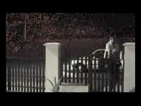 Puding pani Elvisovej - Pink Puding Pong (official video)