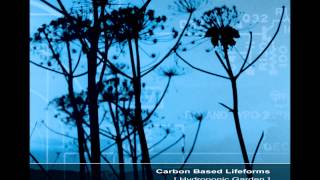 Carbon Based Lifeforms - Hydroponic Garden [Full Reissued Album]