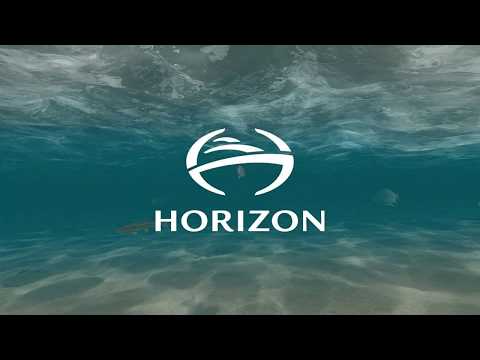 2021 Horizon FD75 INIZIO