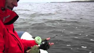 Казанские блесны жор