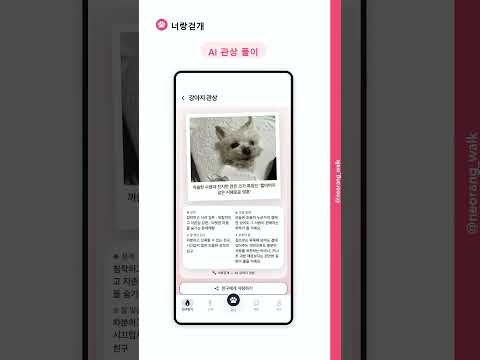 너랑걷개 : 동네친구찾기 반려생활 반려견 강아지산책 video thumbnail
