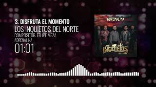 Disfruta El Momento Lyrics  Translation