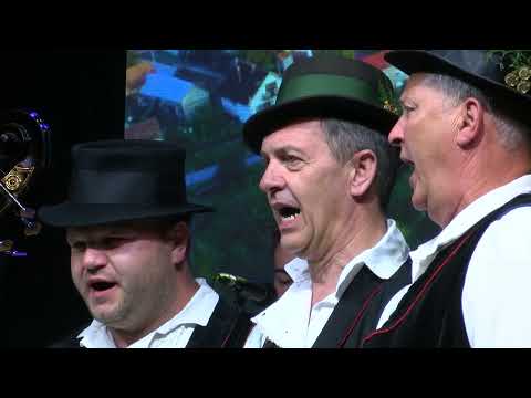 MPS Bećarine - O žitu mi pjevaj draga (Zlatni glas Zlatne doline - Kaptol 2025.)