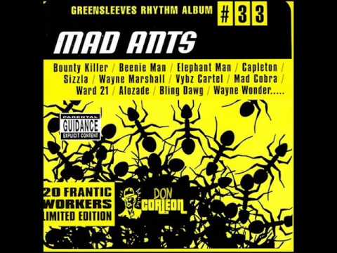 Wayne Wonder Feat Surprise - Got To Be (Mad Ants Riddim)