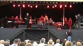 Patrick Adams covering Delbert McClinton's "I Used to Worry "