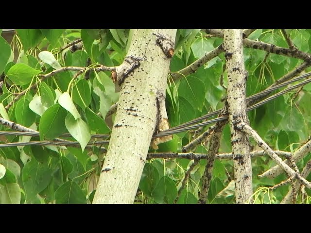 Отключение электричества