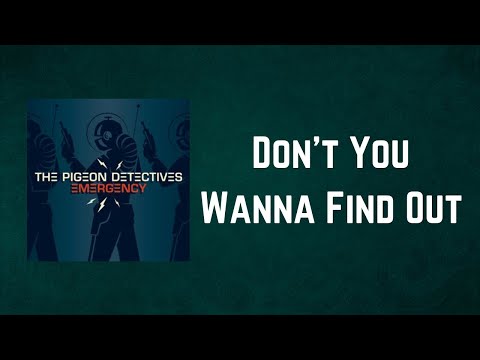 Don't You Wanna Find Out - The Pigeon Detectives