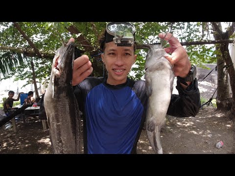 SE02EP028 Part 1 - ISA na NAMANG PAKIKIPAGTUOS sa mga NAG LALAKIHANG mga HITO sa ILALIM ng KAWAYANAN