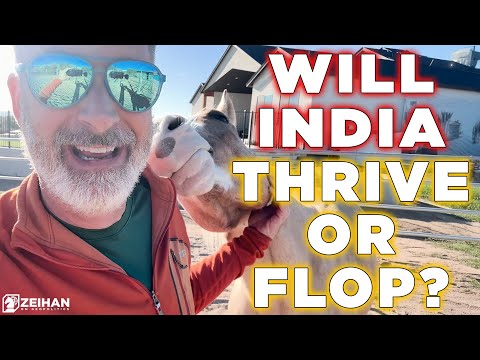 India: Overhyped or Global Player || Peter Zeihan