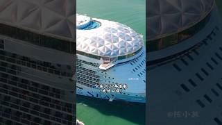 The Giant of the Ocean 🌊🚢 #shorts #iconoftheseas #ship