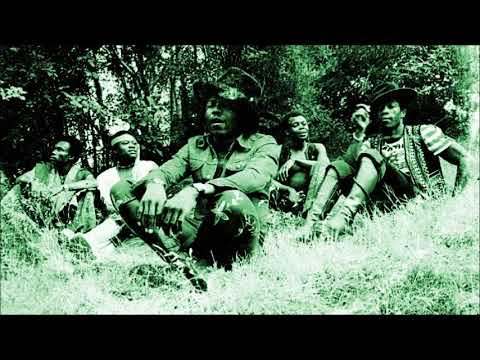 The Funkees - Experience (Peel Session)