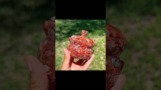 This story had me dying!! 😂😭💀Rate her on a scale from 1-10!! #viral #diy #reddit #funny