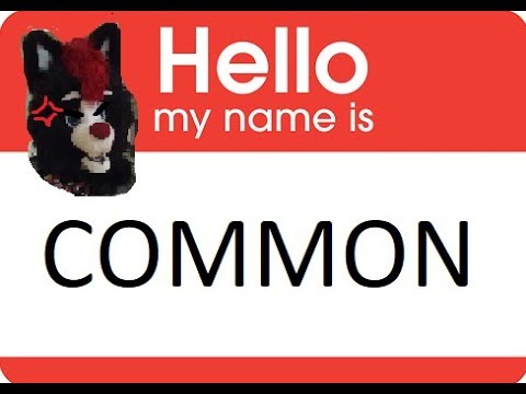 Top 5 Most Common Fursona Names