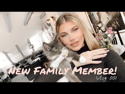 VLOG: Road trip to get my new Maine coon kitten!