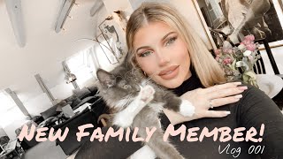 VLOG: Road trip to get my new Maine coon kitten!