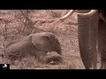 Biodiversity Make The Change