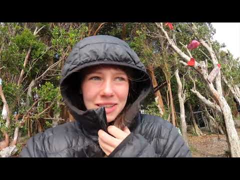 REISEN OHNE GELD - SO gehts!