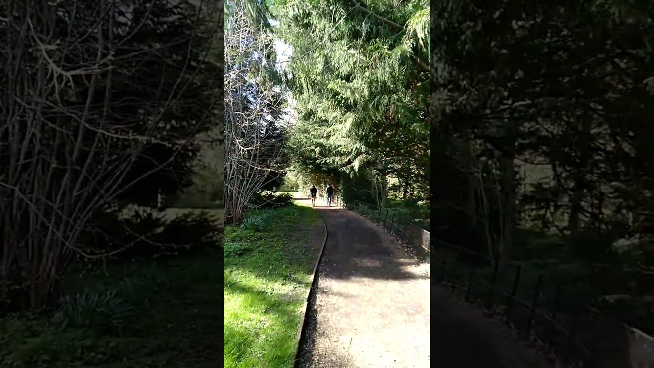 Garden walk (April Fool's Day BST Easter Monday) #cambridge UK #garden April 2024