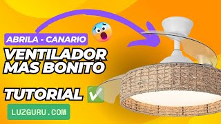 Miniatura Short 1