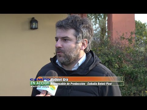 Cabaña Bototí Picú  prepara su Remate Anual en Federal - Nahuél Ara