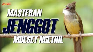 Download lagu MASTERAN CUCAK JENGGOT GACOR MBESET NGETRIL mp3 Download lagu MASTERAN CUCAK JENGGOT GACOR MBESET NGETRIL mp3