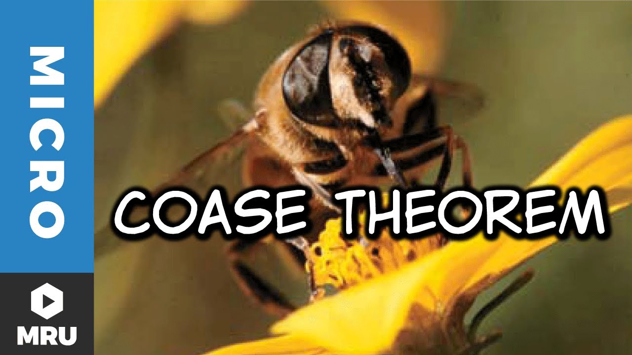 The Coase Theorem