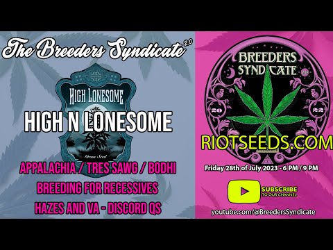 High N Lonesome Appalachia Urkle Poodlenutz Breeding 4 Recessives ABC Tres Dawg Cookies S08 E13