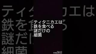 2018年10月26日