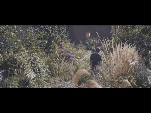 download lagu mp3 mp4 Artisan Landscape Design, download lagu Artisan Landscape Design gratis, unduh video klip Artisan Landscape Design