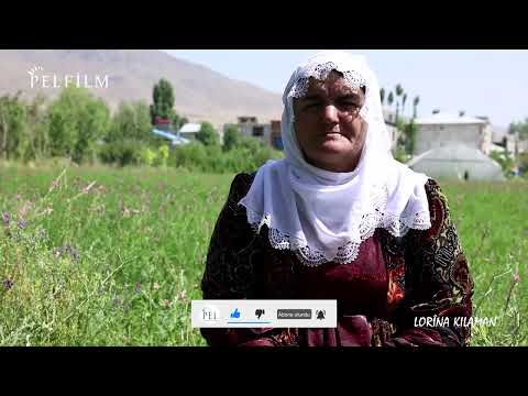 LORÎNA KILAMAN - DENGBÊJ SÎSÊ