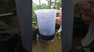 Download lagu How to apply humic acid powder mp3