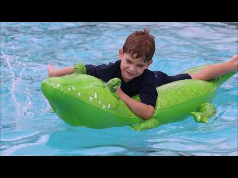 Term 4 Highlights | 2023